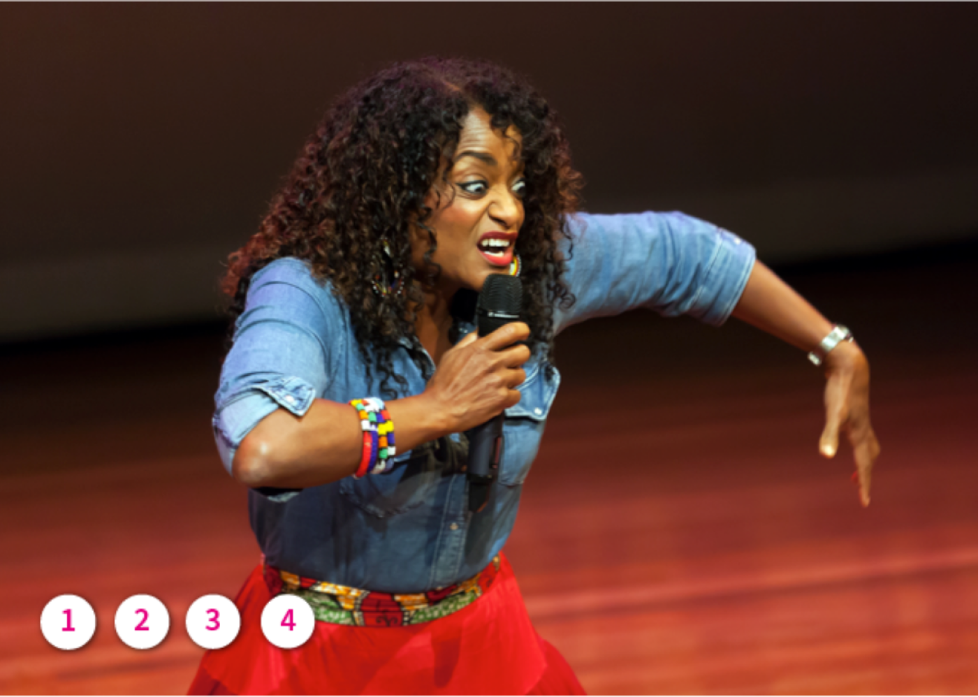 De waanzinnige avonturen van Nanzi de spin - Izaline Calister