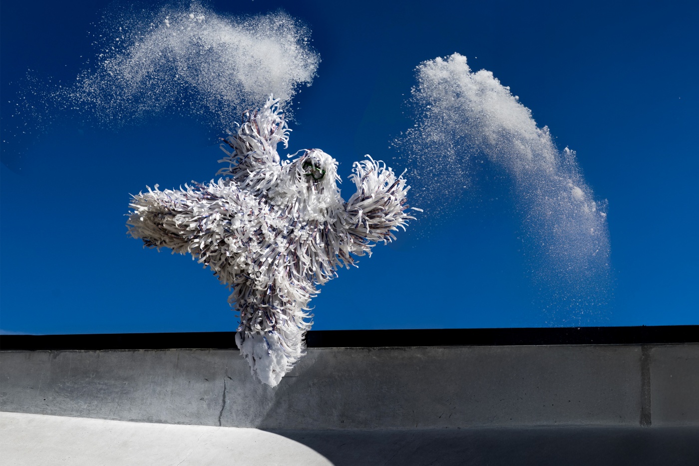 Plan d- YETI © Petra Katanic _ Es & Zn landsc hi res.jpg